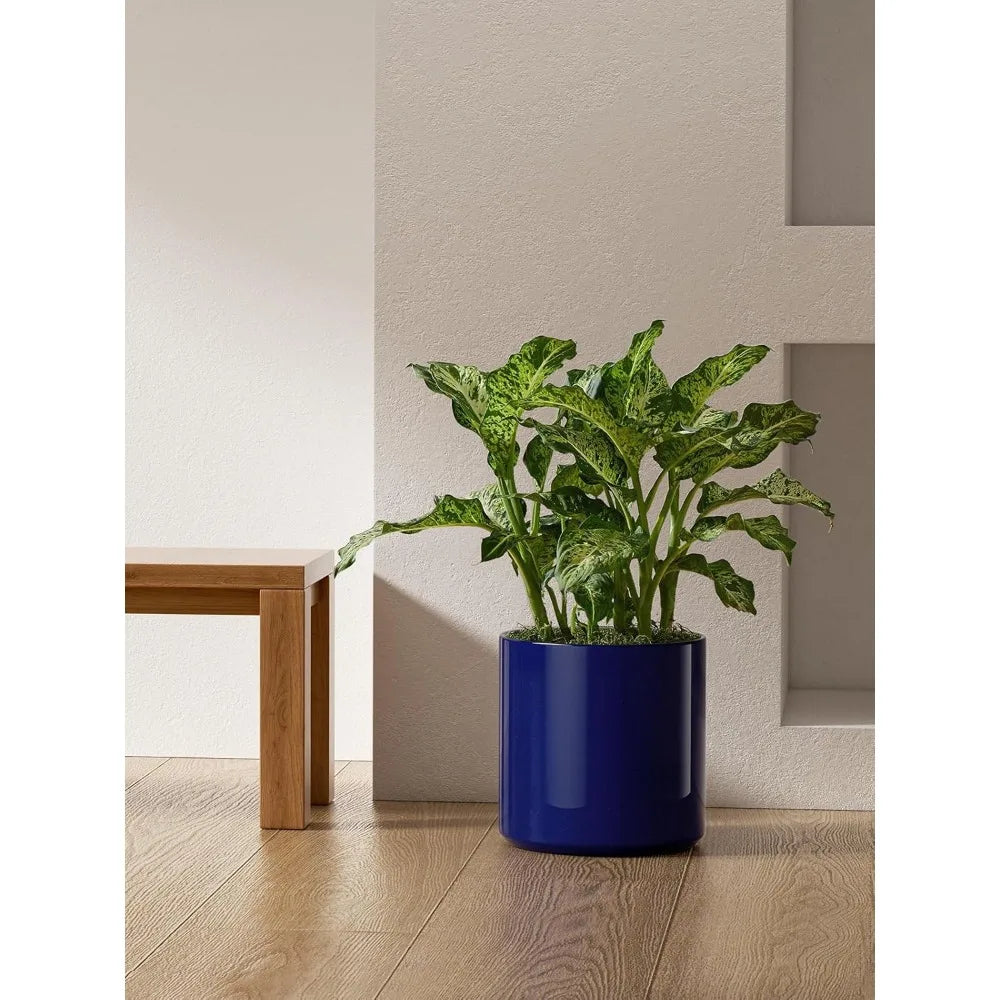 The Astoria Glazed Ceramic Planter